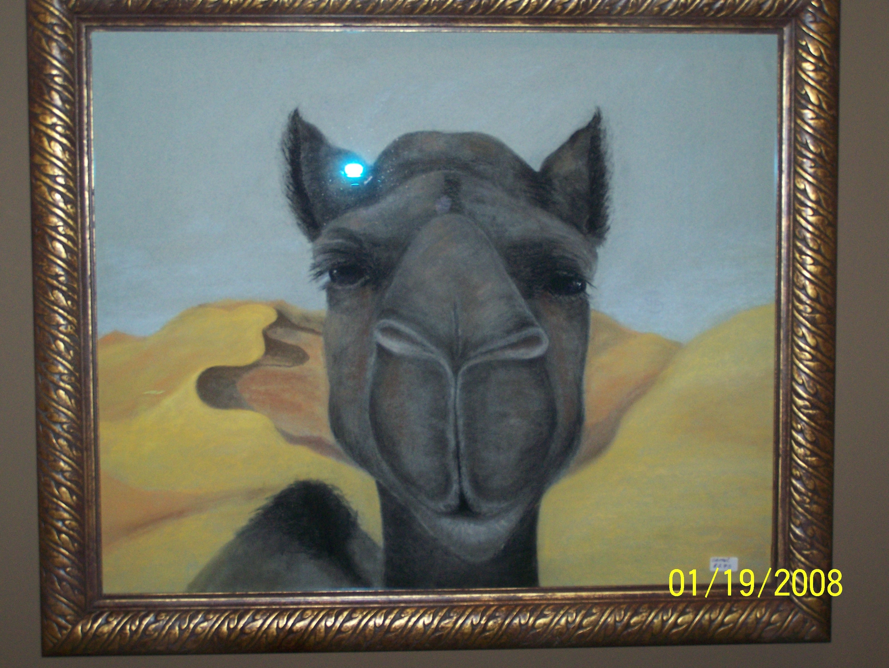camel.jpg